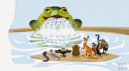 Banksia – Tiddalick the Frog Drama Incursion